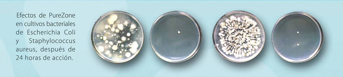 Efecto antibacterial